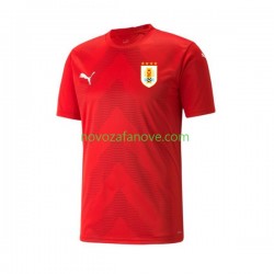 Nogometni Dres Urugvaj Golmanski Muški Domaći Svjetsko prvenstvo 2022 Kratkih Rukava