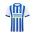 Nogometni Dres Brighton & Hove Albion Muški Domaći 2024-2025 Kratkih Rukava