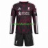Nogometni Dres Liverpool Dječji Treći 2026-2027 Dugim Rukavima