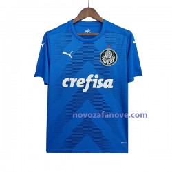 Nogometni Dres Palmeiras Golmanski Muški Gostujući 2022-2023 Kratkih Rukava